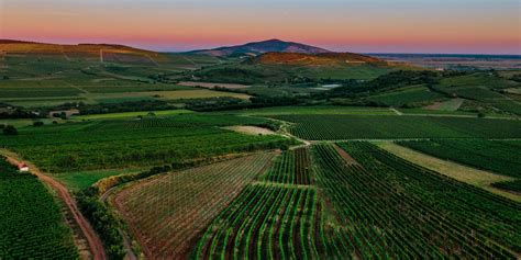 Tokaj wine region.